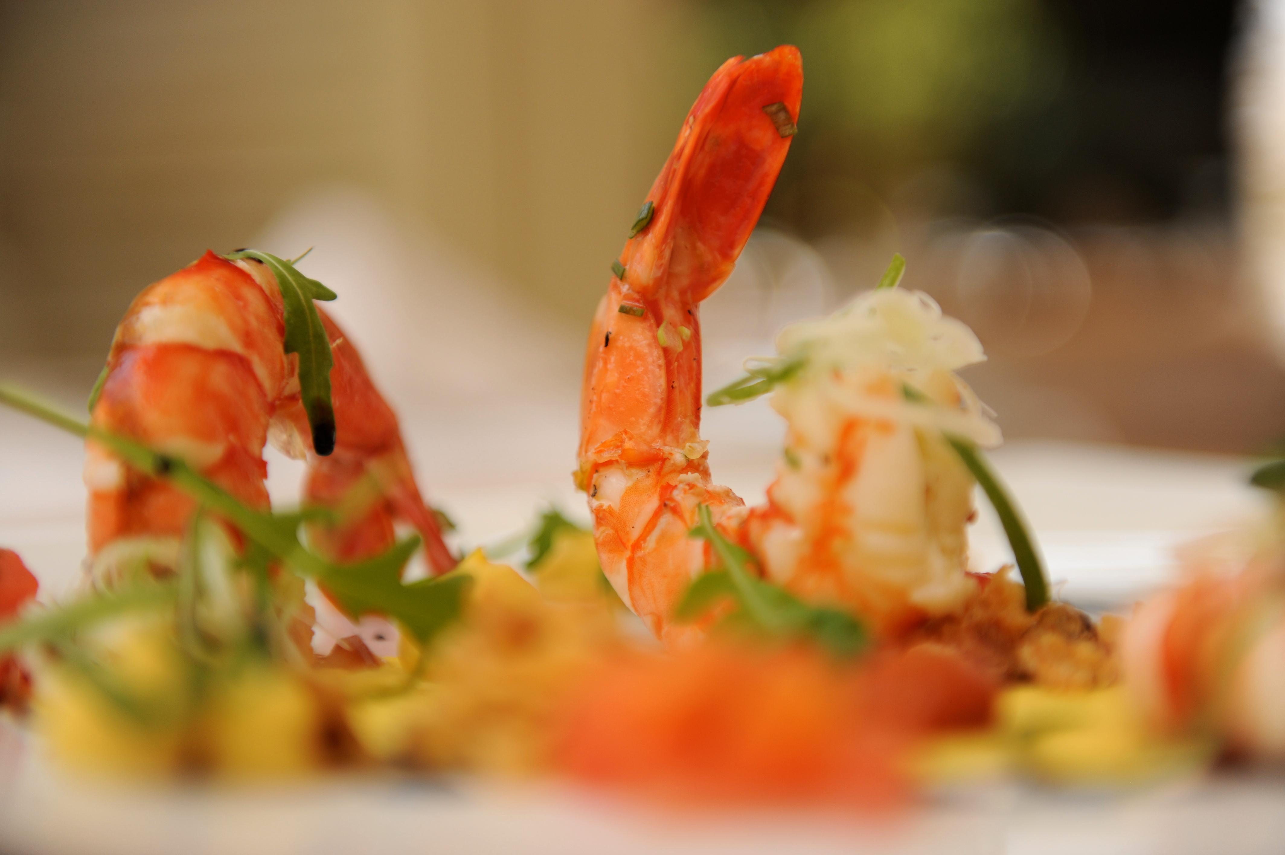 ロードス パレス ホテル イキソス エクステリア 写真 Shrimp